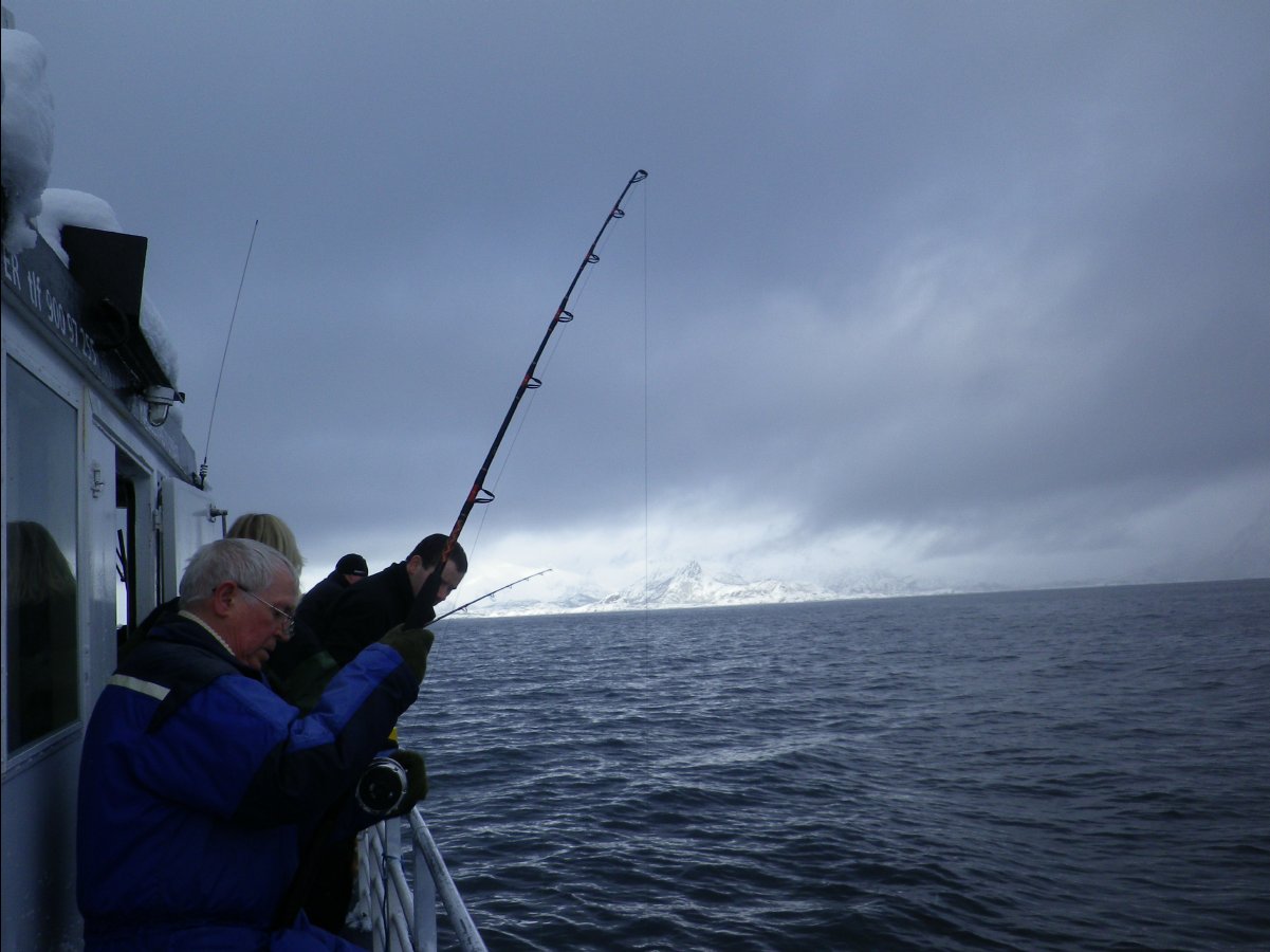 Cod Fishing18